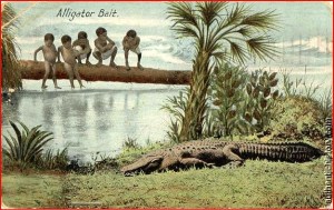 1909_postcard_quincy_florida-alligator