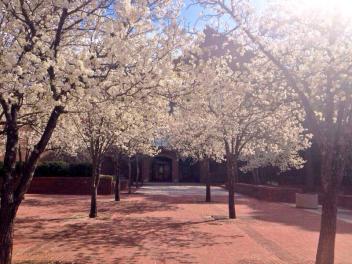 An iPhone snapshot I first posted on Instagram, taken March 2014, outside the Charles W. Chesnutt Library on the campus of Fayetteville State University. Fayetteville, NC.